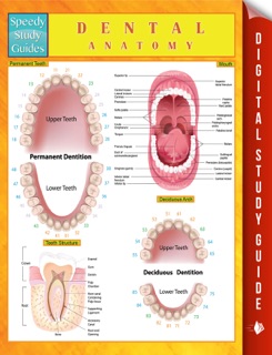 Dental Anatomy Speedy Study Guides by Speedy Publishing