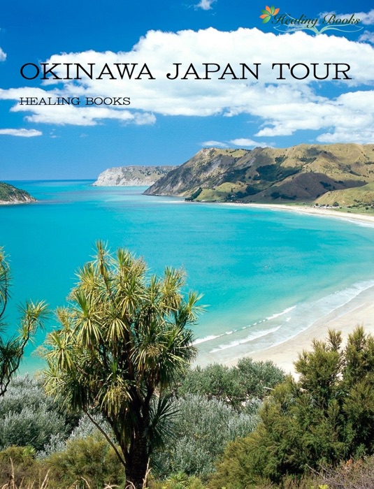 Okinawa japan tour