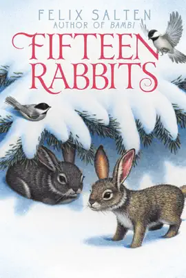 Read: Fifteen Rabbits Book