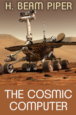 The Cosmic Computer