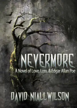 Read: Nevermore: A Novel of Love, Book Loss, & Edgar Allan Poe