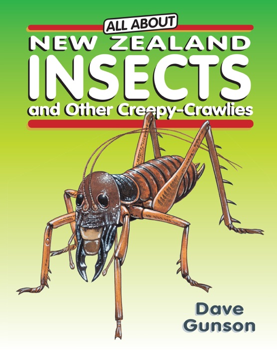All About New Zealand Insects and Other Creepy-Crawlies