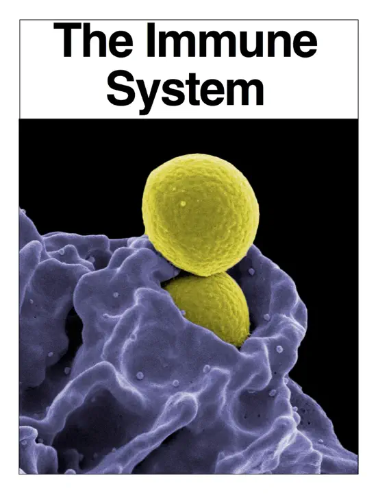 The Immune System