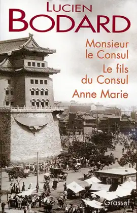 Read: Monsieur le Consul - Le fils du Book Consul - Anne Marie