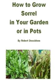 How to Grow Sorrel in Your Garden or in Pots - Robert Donaldson