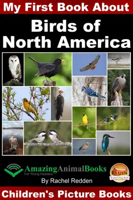 Read: My First Book about Book Birds of North America