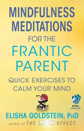 Read: Mindfulness Meditations for the Frantic Parent Book (with embedded videos)