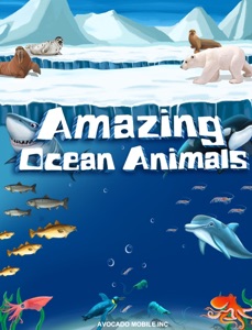 Amazing Ocean Animals