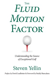 The Fluid Motion Factor by Steven Yellin