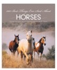Book 1001 Best Things Ever Said About Horses