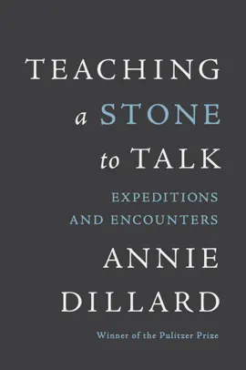 Read: Teaching a Book Stone to Talk