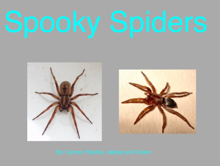 Spooky Spiders