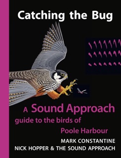 Catching the Bug by Mark Constantine, Nick Hopper, The Sound Approach, Magnus Robb, Arnoud Van Den Berg & Killian Mullarney