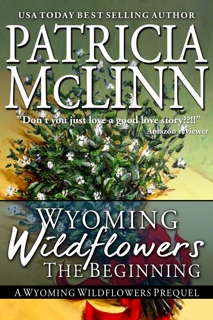 Wyoming Wildflowers: The Beginning (Wyoming Wildflowers, Book 1) by Patricia McLinn