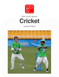 Cricket