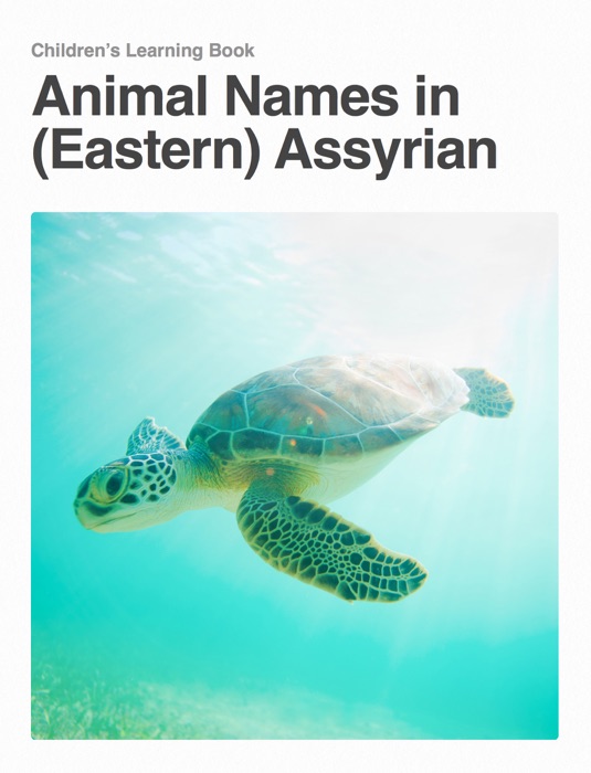 Animal Names in Assyrian