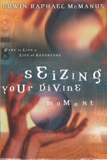 Seizing Your Divine Moment by Erwin Raphael McManus