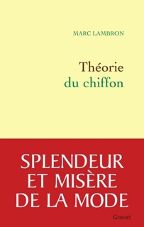 Théorie du chiffon by Marc Lambron