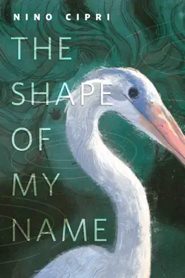 Read: The Shape of My Name Book