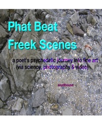 Phat Beat Freek Scenes - aSyd Foster