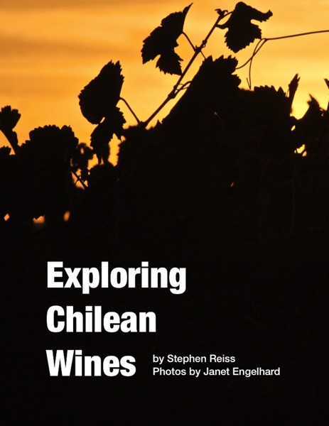 Exploring Chilean Wines