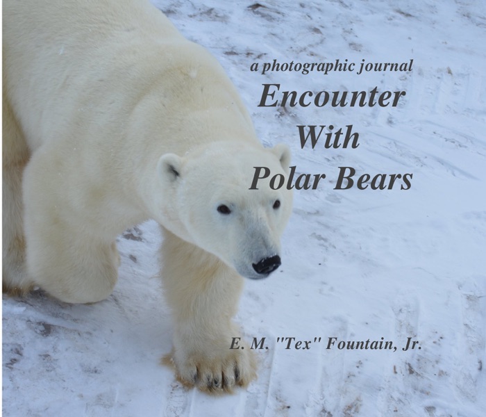 Encounter With Polar Bears