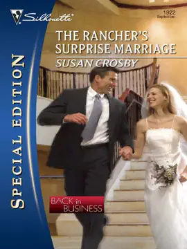 Read: The Book Rancher's Surprise Marriage