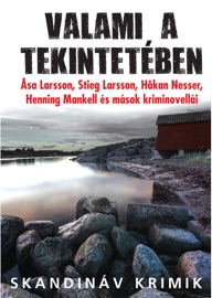 Valami a tekintetében - John-Henri Holmberg