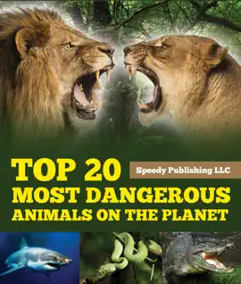 Top 20 Most Dangerous Animals On The Planet