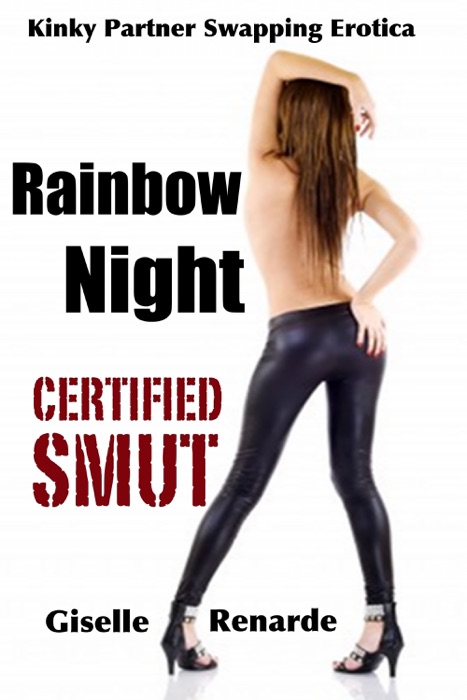 Rainbow Night: Kinky Partner Swapping Erotica