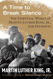 A Time to Break Silence - Martin Luther King Jr. & Walter Dean Myers