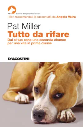 Tutto da rifare
