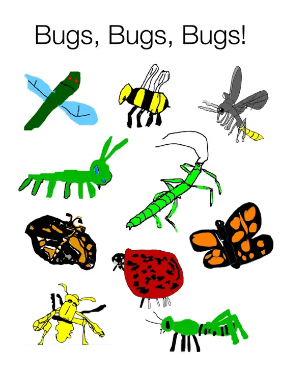 Bugs, Bugs, Bugs!