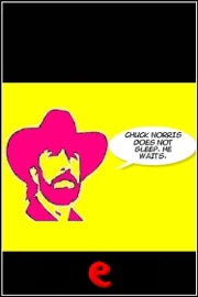 Chuck Norris Doesn't Sleep. He Waits. - AA. VV. & Autori Vari