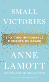 Small Victories - Anne Lamott