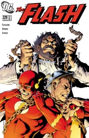 The Flash (1987-2009) #229 - Joey Cavalieri & Val Semeiks