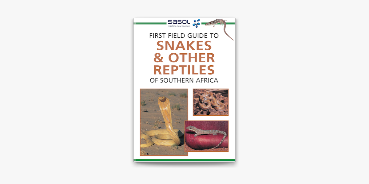 Field Guide to Scorpions of South Africa