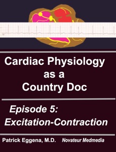 Excitation-Contraction