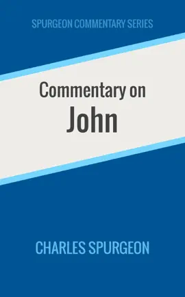 Read: Book Commentary on John