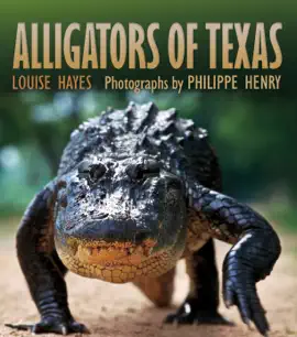 Read: Alligators of Book Texas