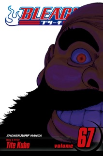 Bleach, Vol. 67 by Tite Kubo