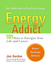 Energy Addict - Jon Gordon