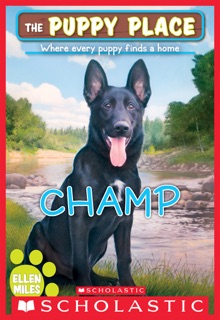 Champ (The Puppy Place #43) by Ellen Miles
