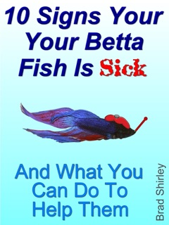 10 Signs Your Betta Fish Is Sick by Brad Shirley