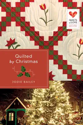 Read: Quilted Book by Christmas