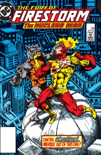 The Fury of Firestorm (1982-) #39 by Gerry Conway, Michael Chen & Rafael Kayanan