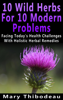 Ten Wild Herbs For Ten Modern Problems - Mary Thibodeau