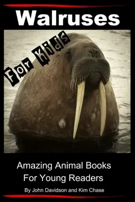 Read: Walruses - For Kids - Amazing Book Animal Books for Young Readers
