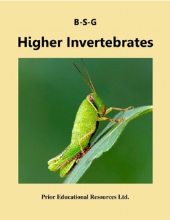Higher Invertebrates by Roger Prior