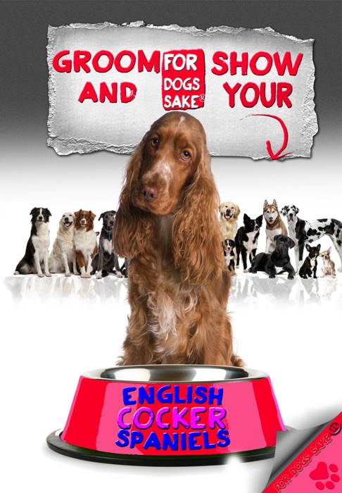 Groom and Show your English Cocker Spaniel